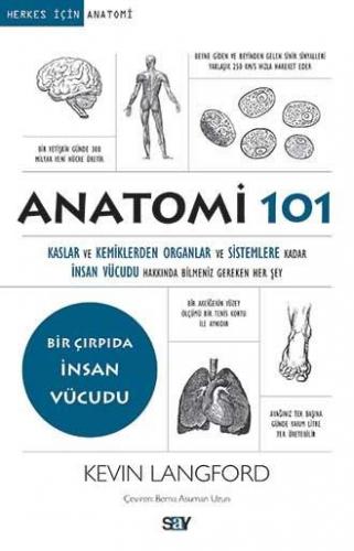 Anatomi 101 - Kevin Langford | Say - 9786050206326