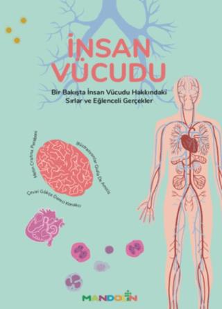 İnsan Vücudu - Cristina Peraboni | Mandolin Yayınları - 9789751043306