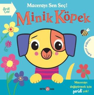 Macerayı Sen Seç! - Minik Aslan - Holly Hall | Beta Kids Yayınları - 9