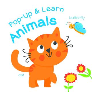 Pop Up & Learn: Animals Ciltli - Kolektif | Yoyo Books - 9789463604567