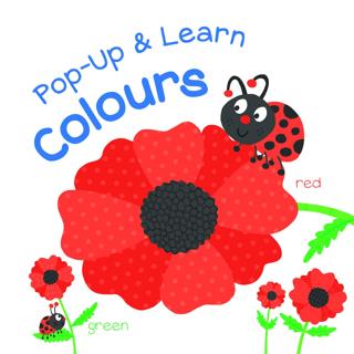 Pop Up & Learn: Colours Ciltli - Kolektif | Mega Kids - 9789463604574